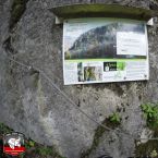 20150517-training-weissbachbeilofer017.jpg
