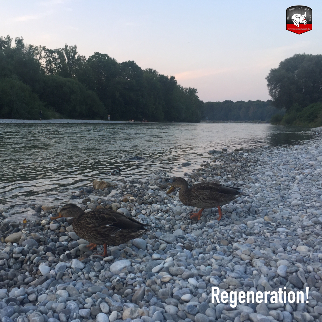 Marathontraining Tag 10/55